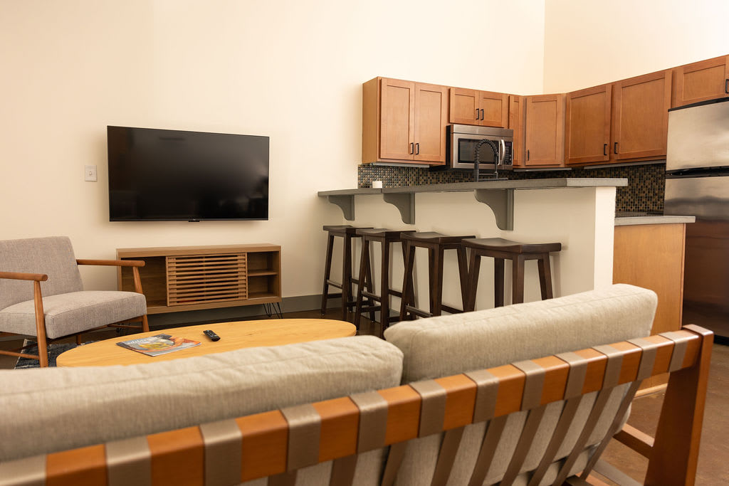 Historic 1 BR apt with exposed brick loft downtown