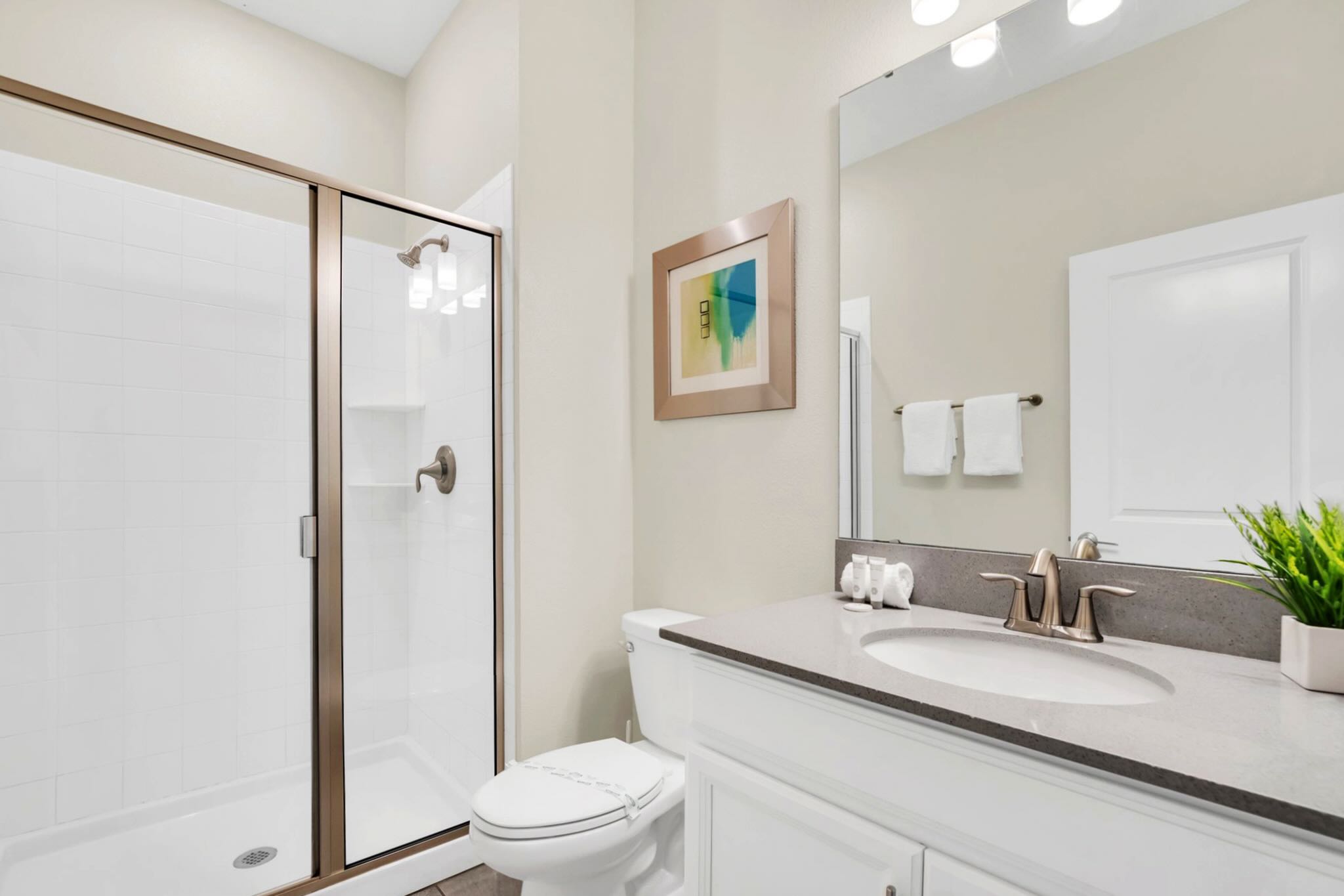 Modern Bathroom With Walk-In Shower And Sleek Vanity