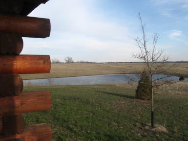 View 7