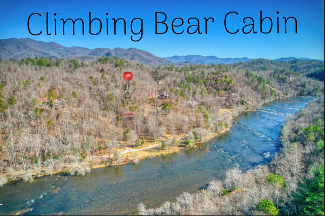 Climbing Bear is by The Little Tennessee River
