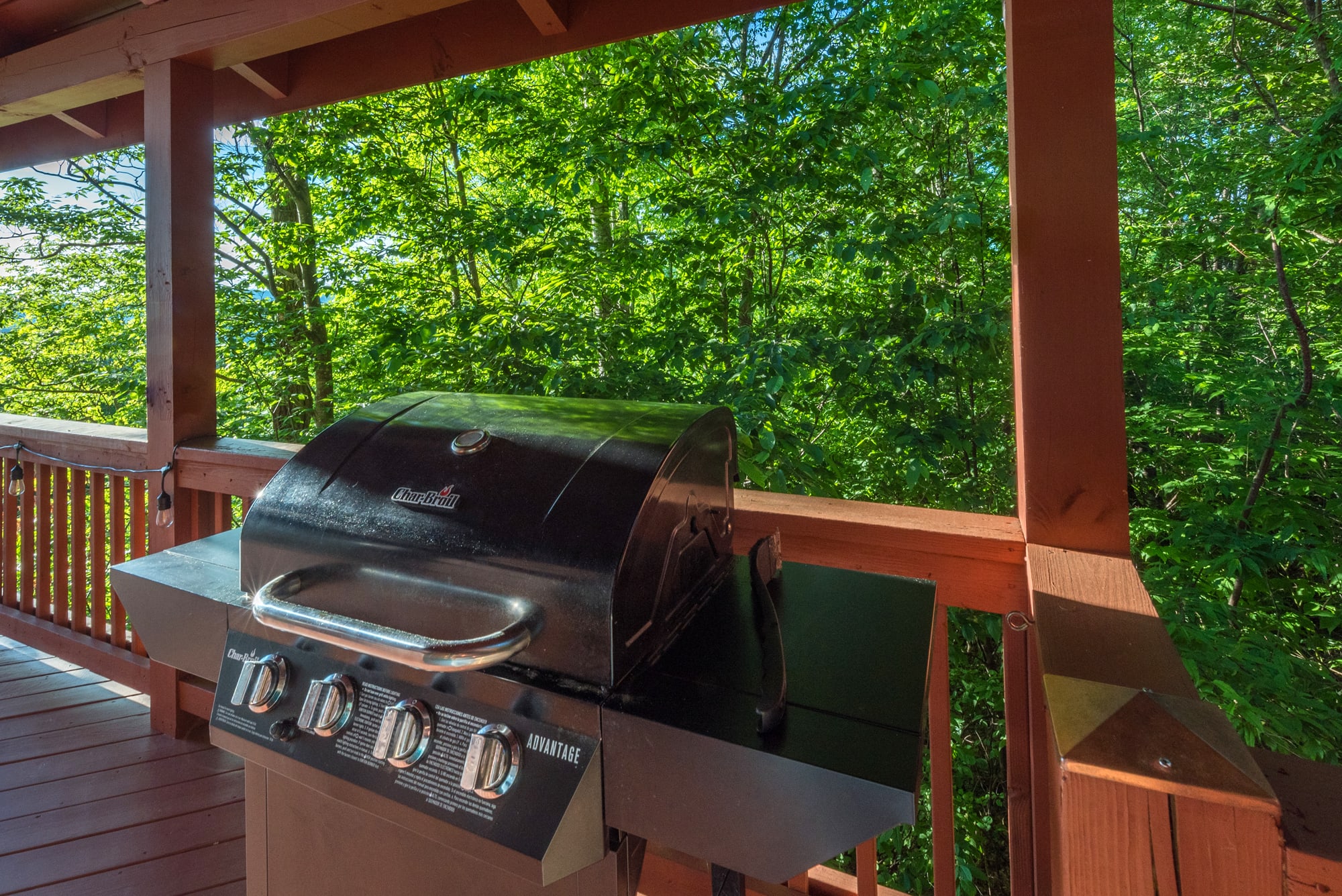 Cabin 1 - Enjoy a dinner on t he grill!