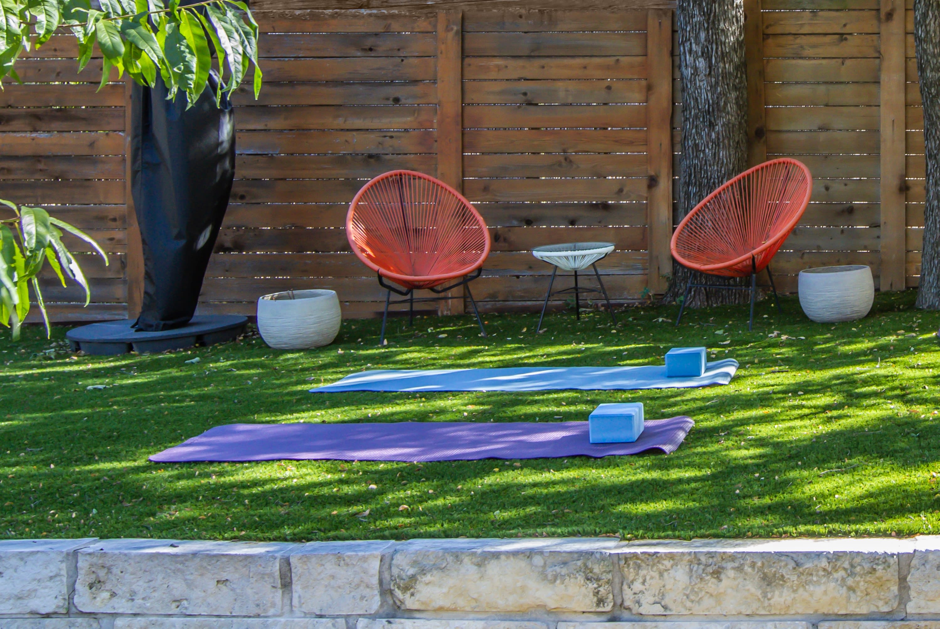Modern Interior, Amazing Backyard | The Mondrian