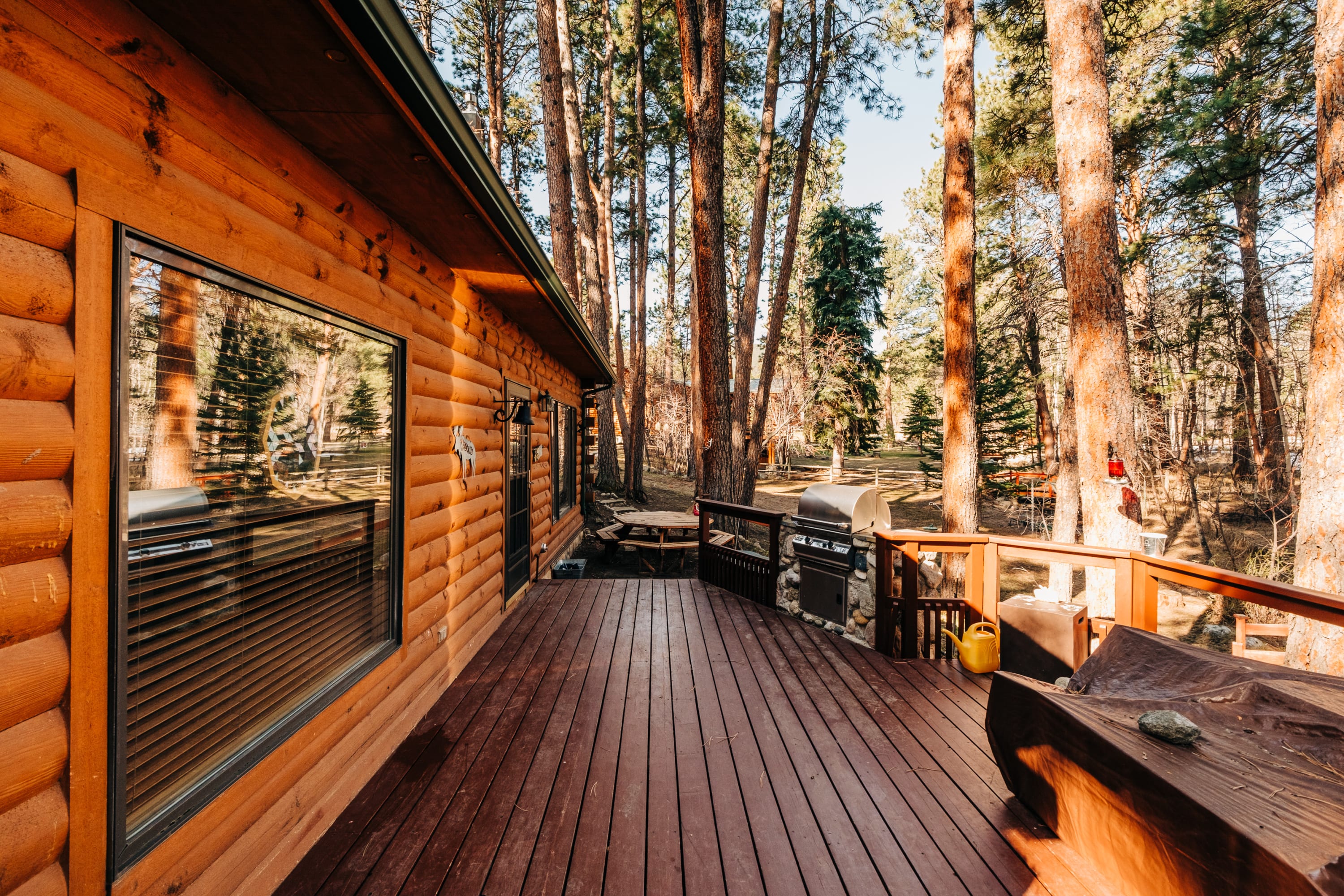 Deck and grill