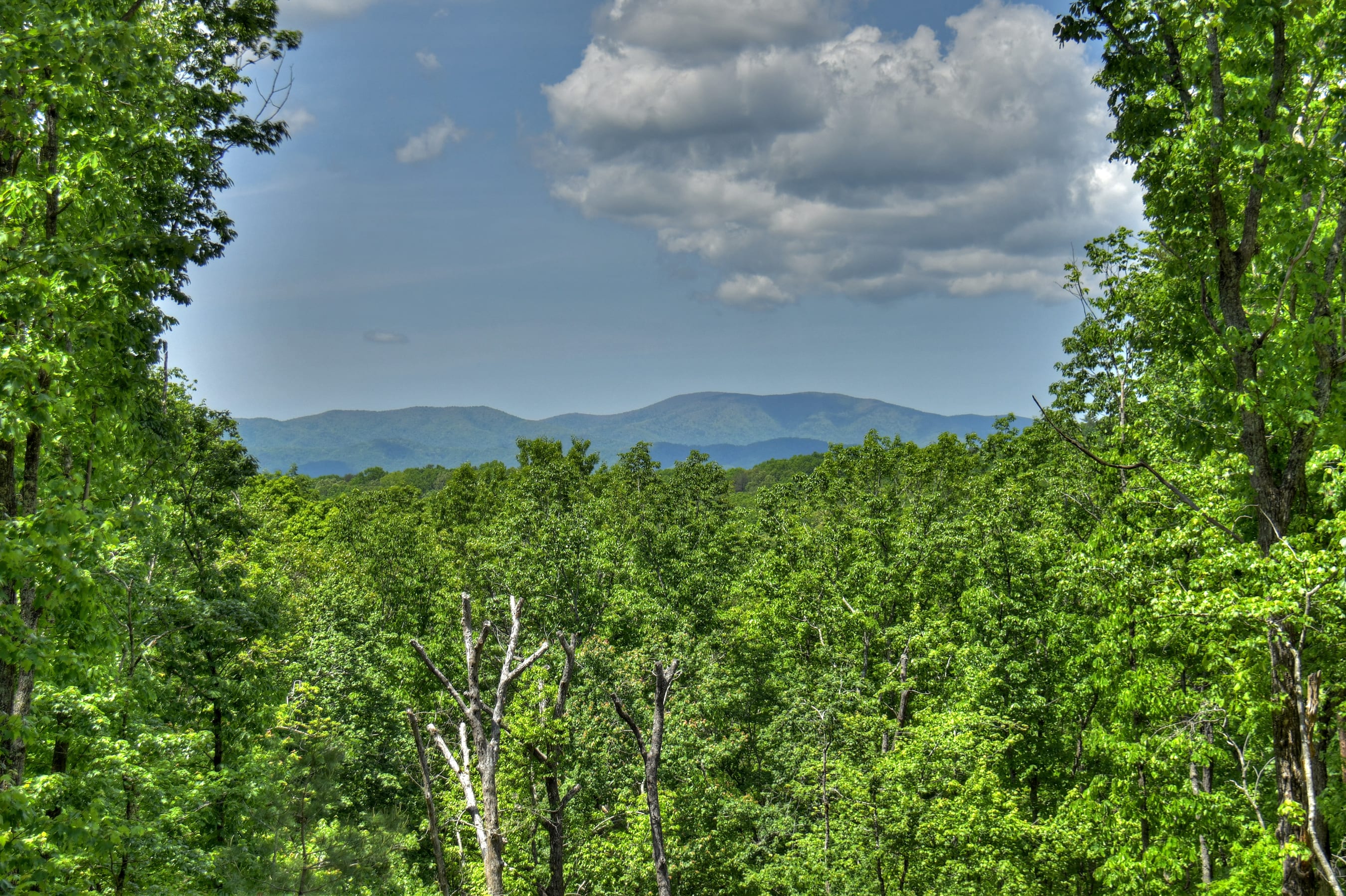 View 3