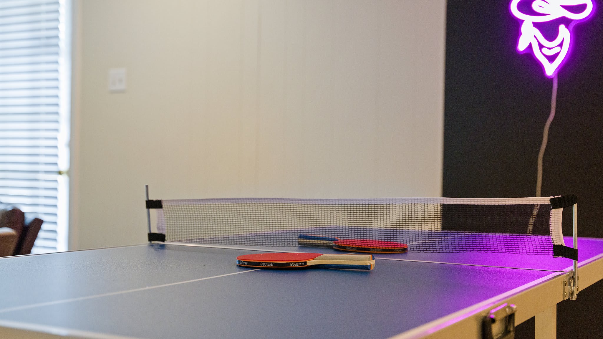 Play a game of ping pong!