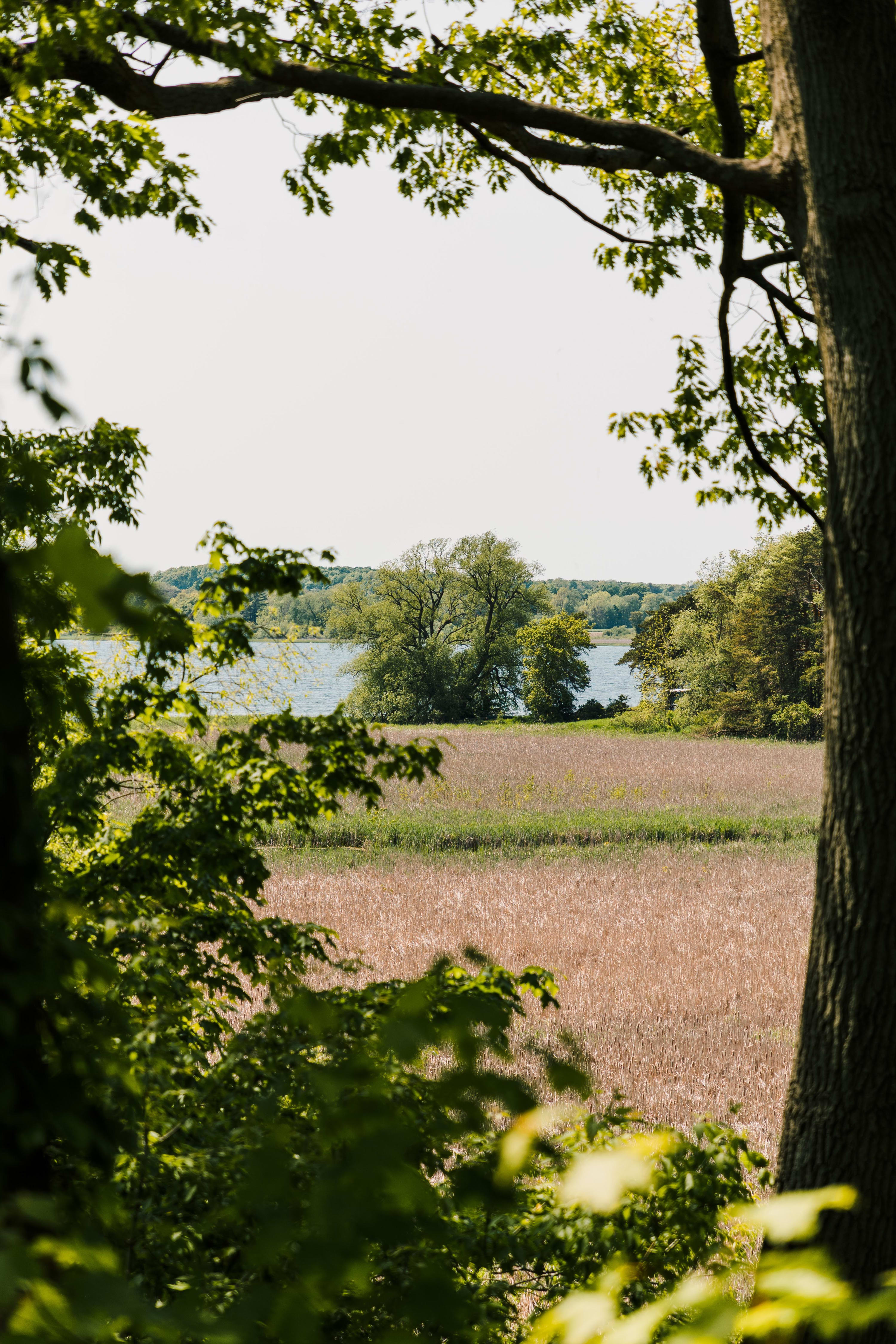 View 8