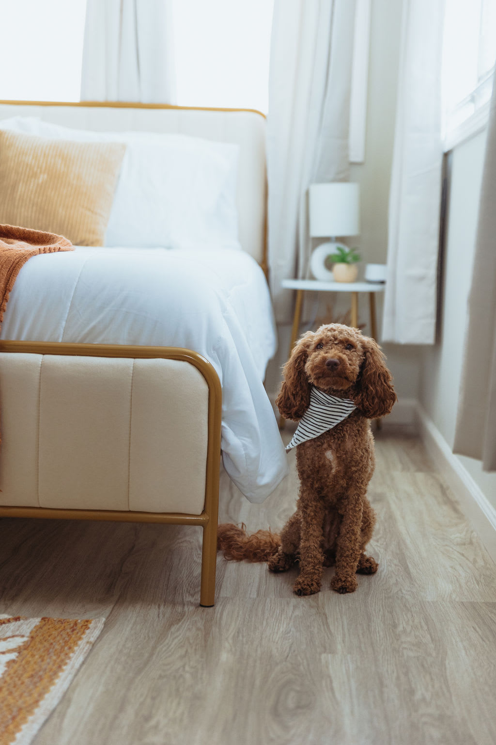 Top Rental Apartments Near East Tennessee State University