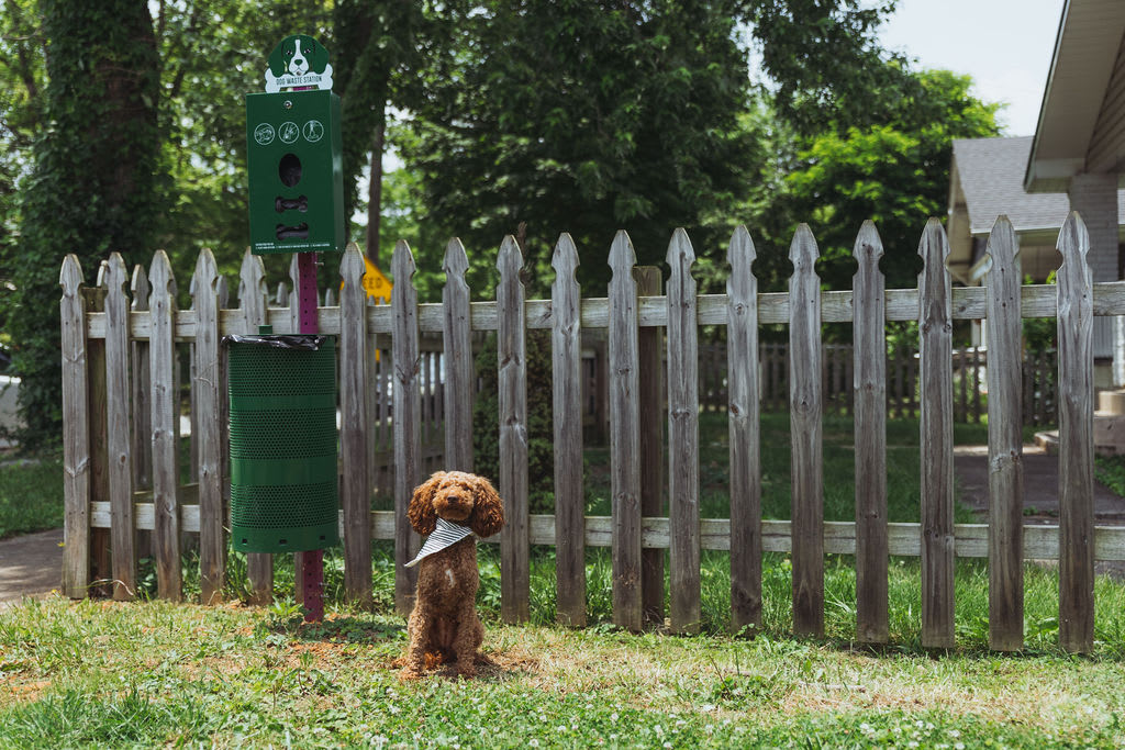 Top Rental Apartments Near East Tennessee State University