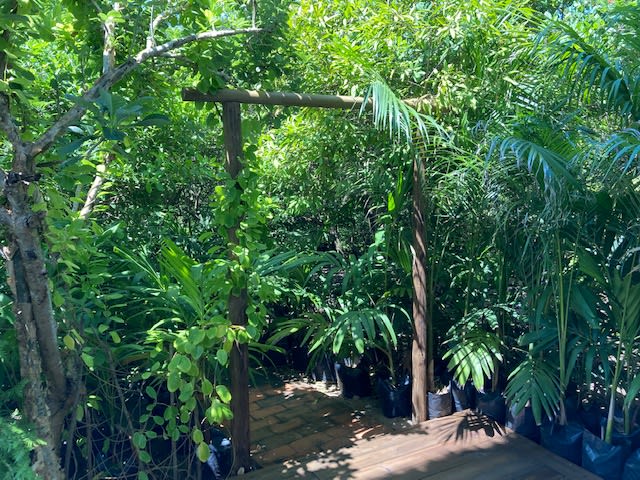 View 8