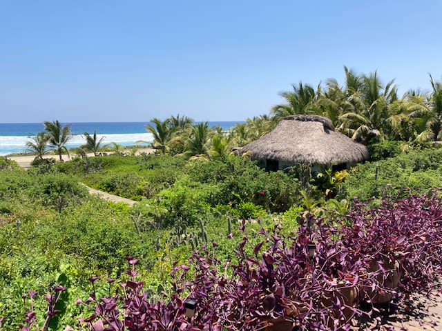 View 8