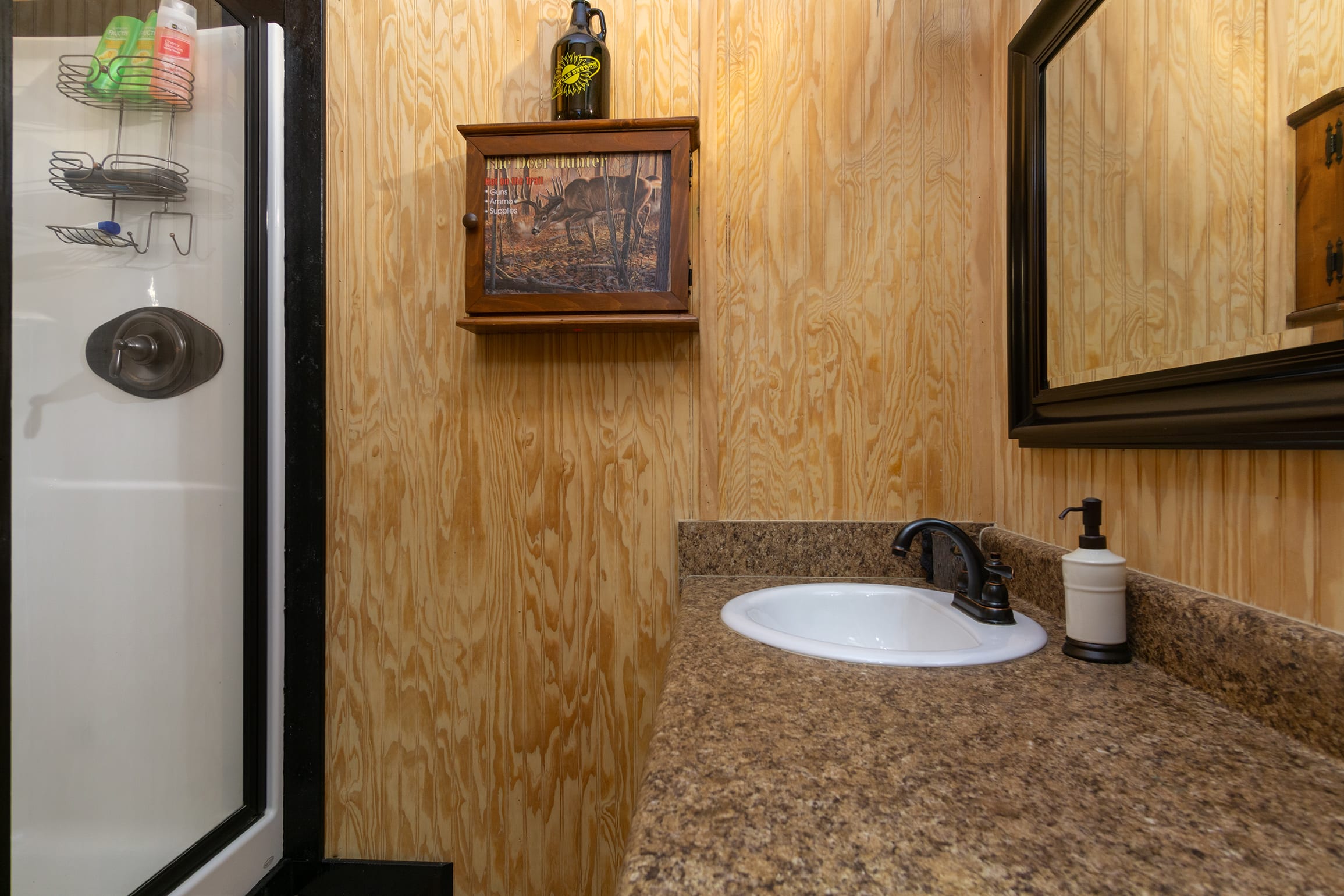 Basement Bathroom