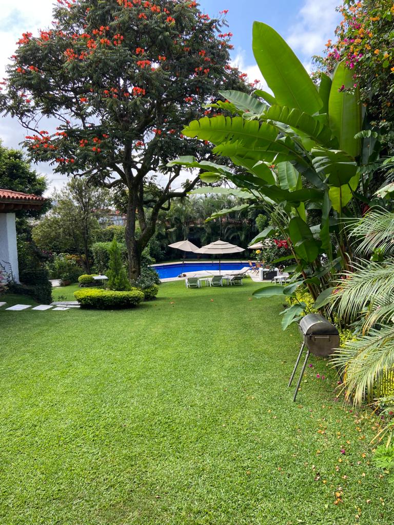 View 2