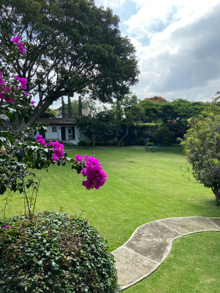 View 8