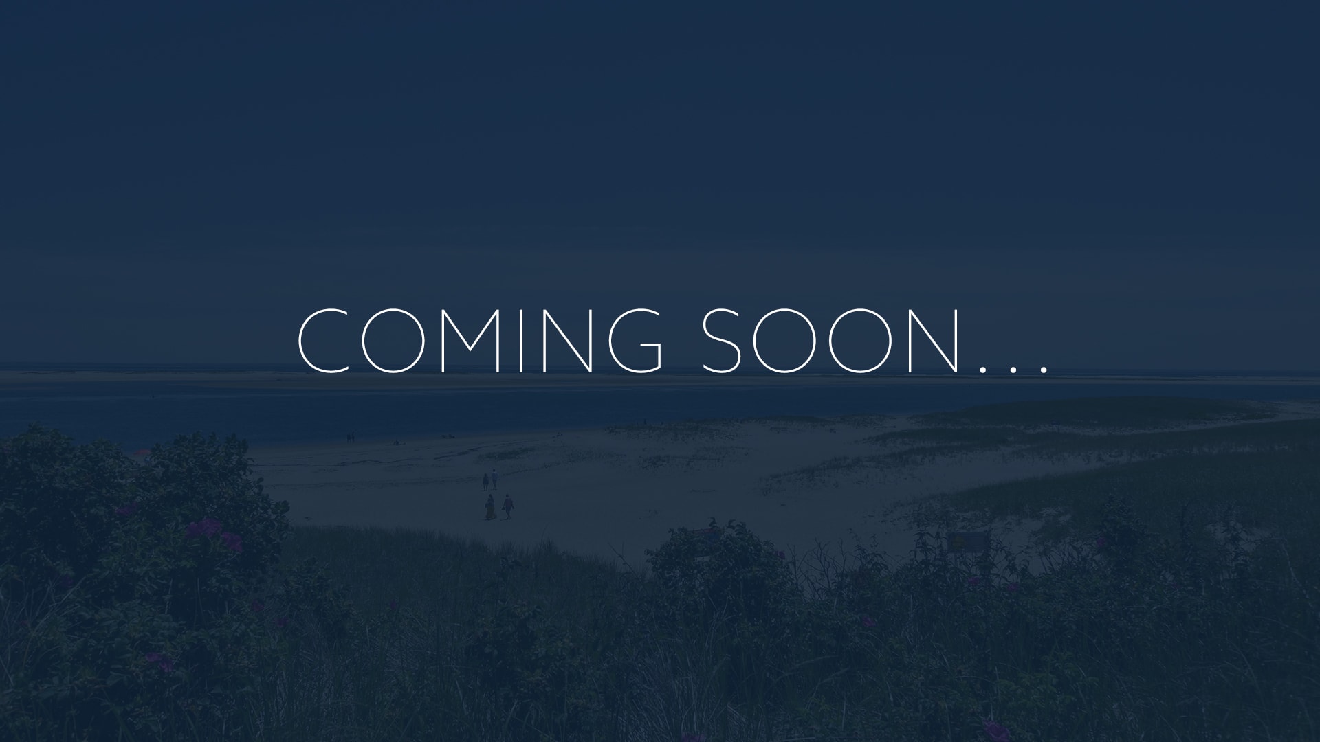 Photo 2 of Del Mar #18842