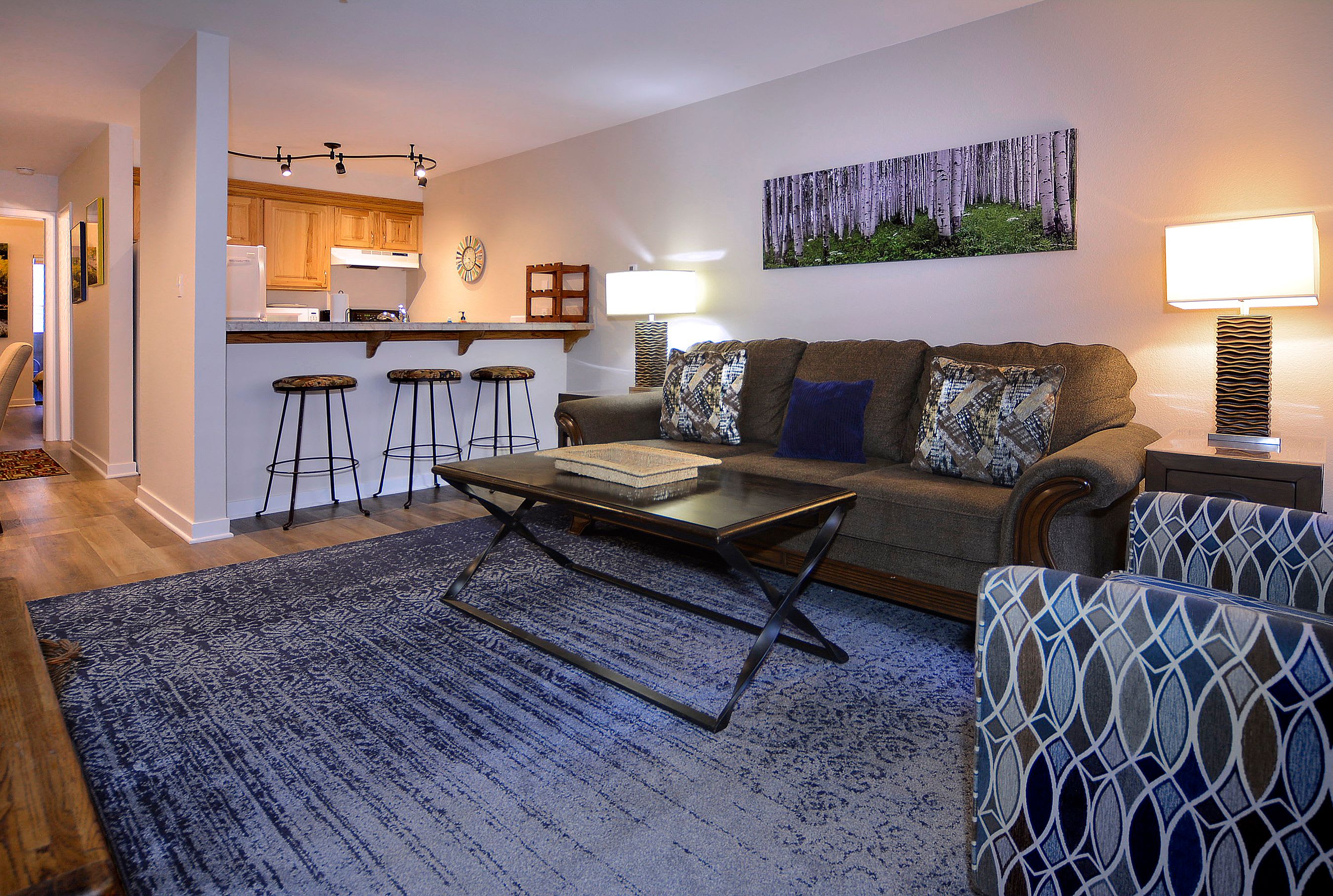 Escape to Emmons, Ski in/Ski out, Hot tub — Mt. Crested Butte, CO — vacation rental