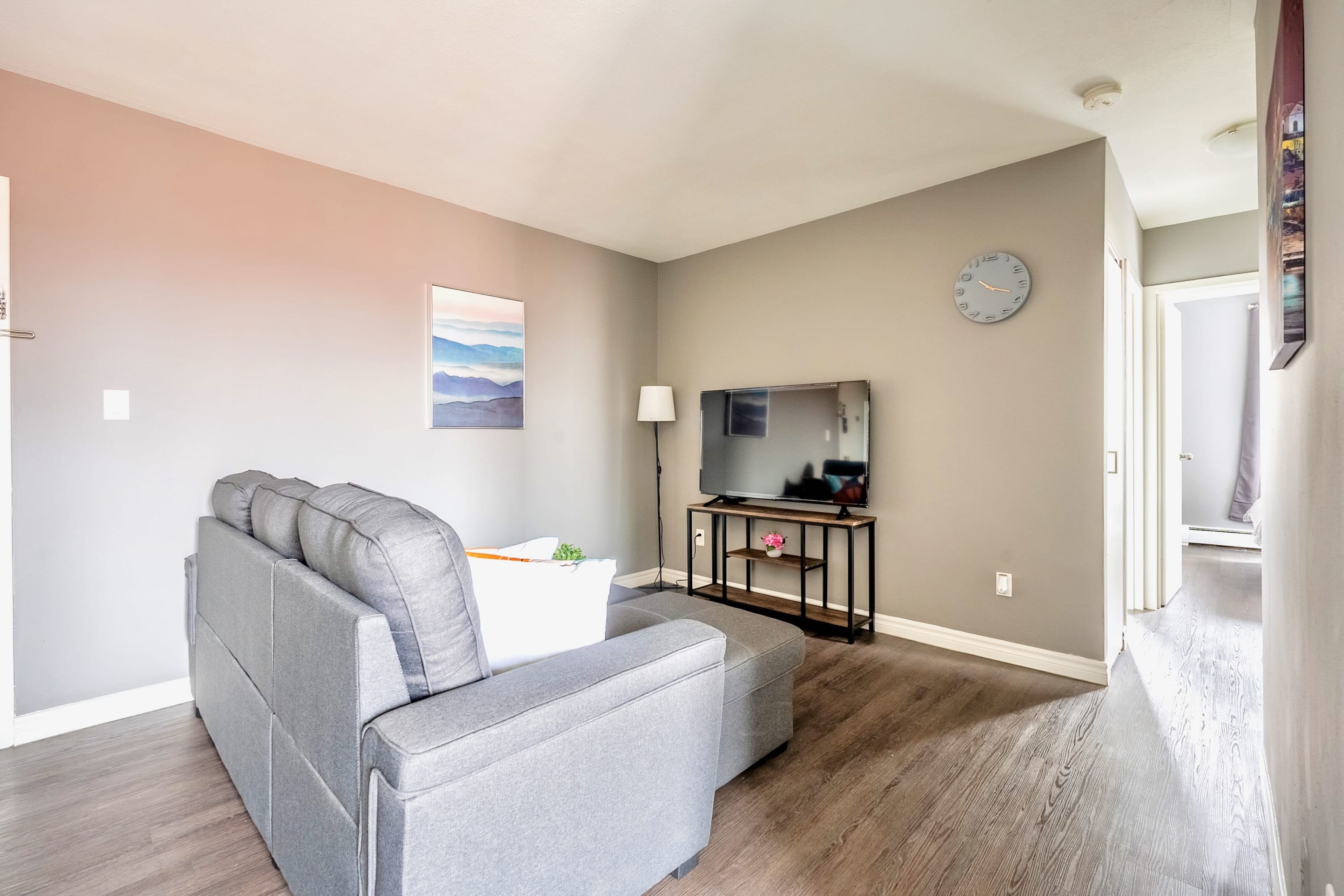 Spacious TV Room With Large And Comfortable Sofa