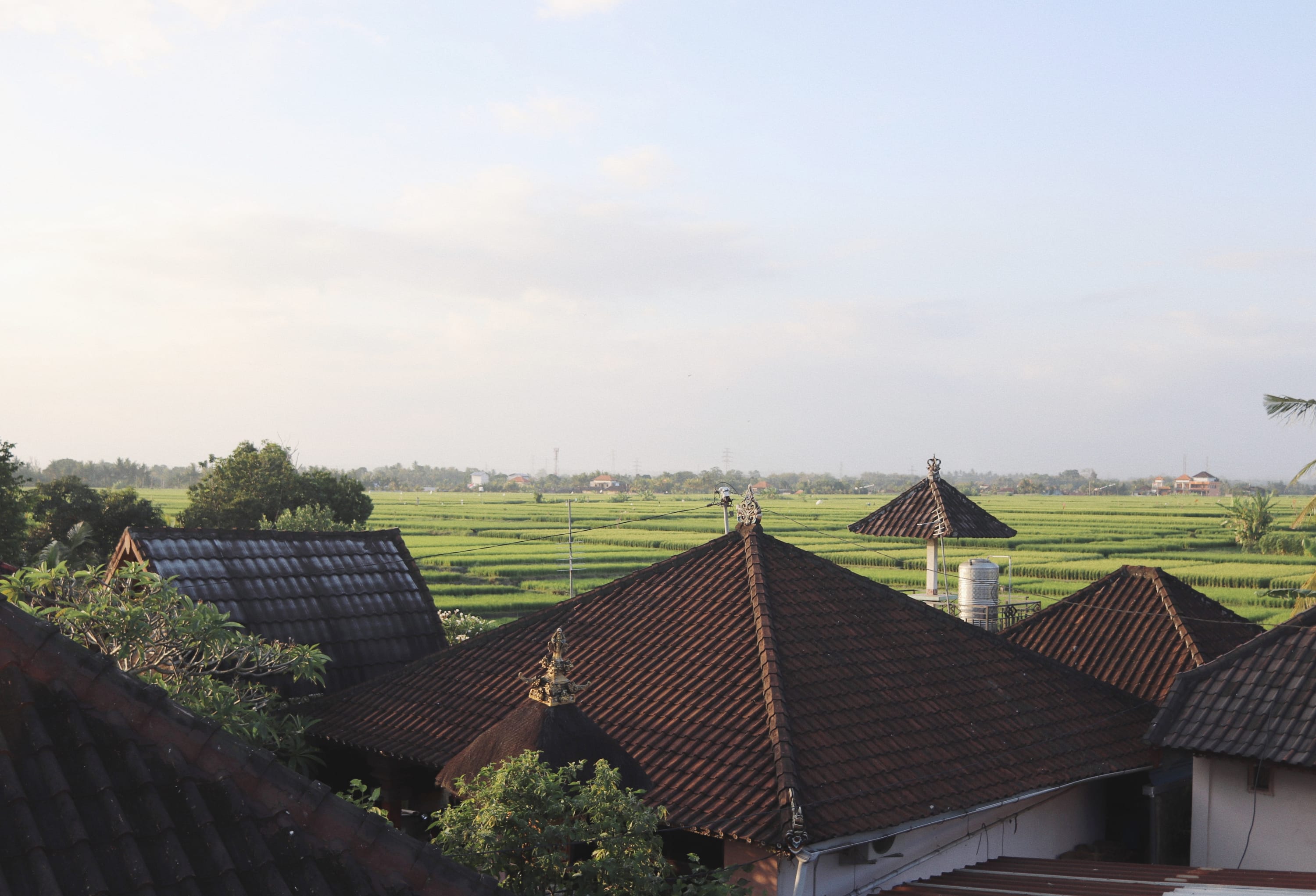 View 6