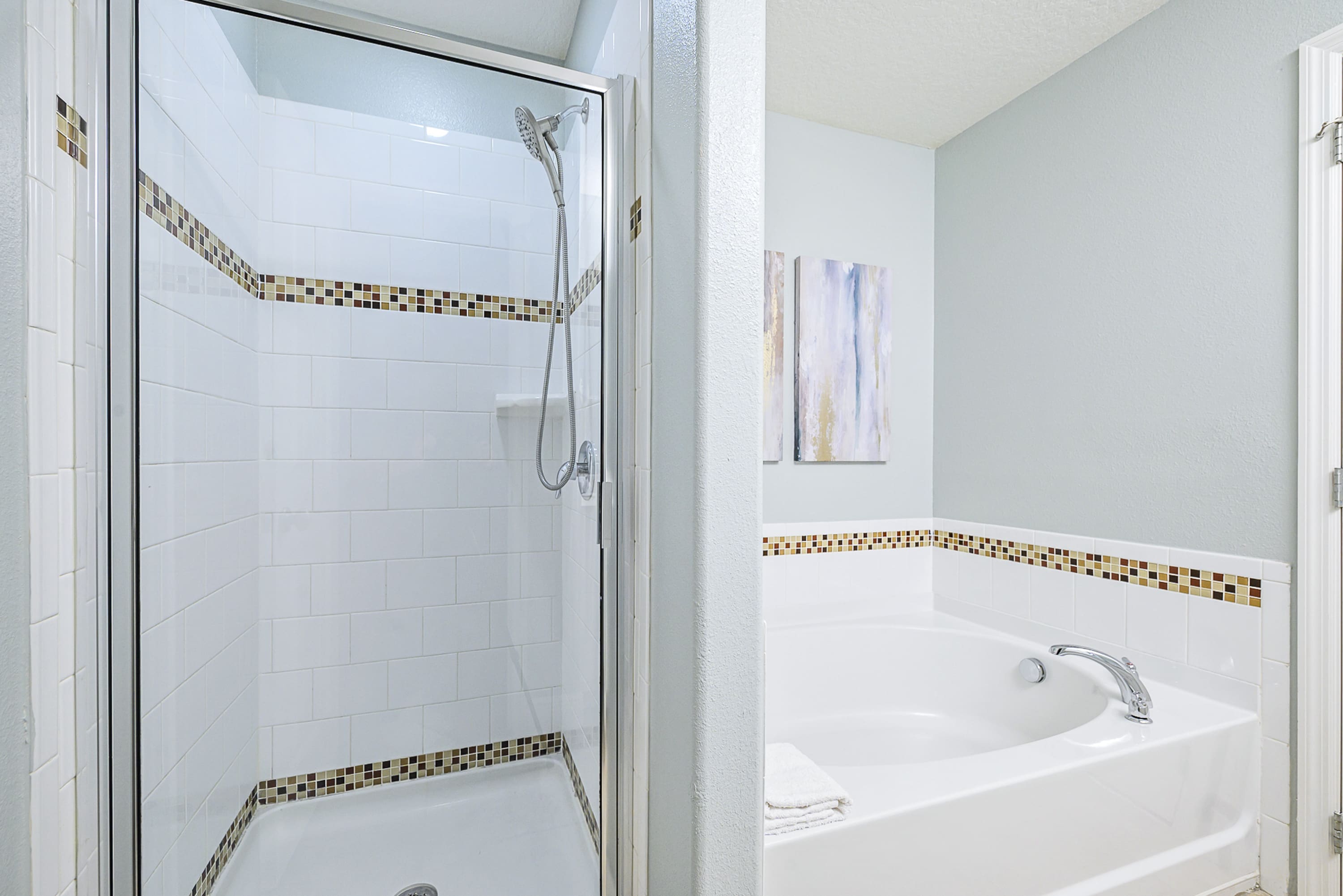 Large Soaker Tub and Standing Shower