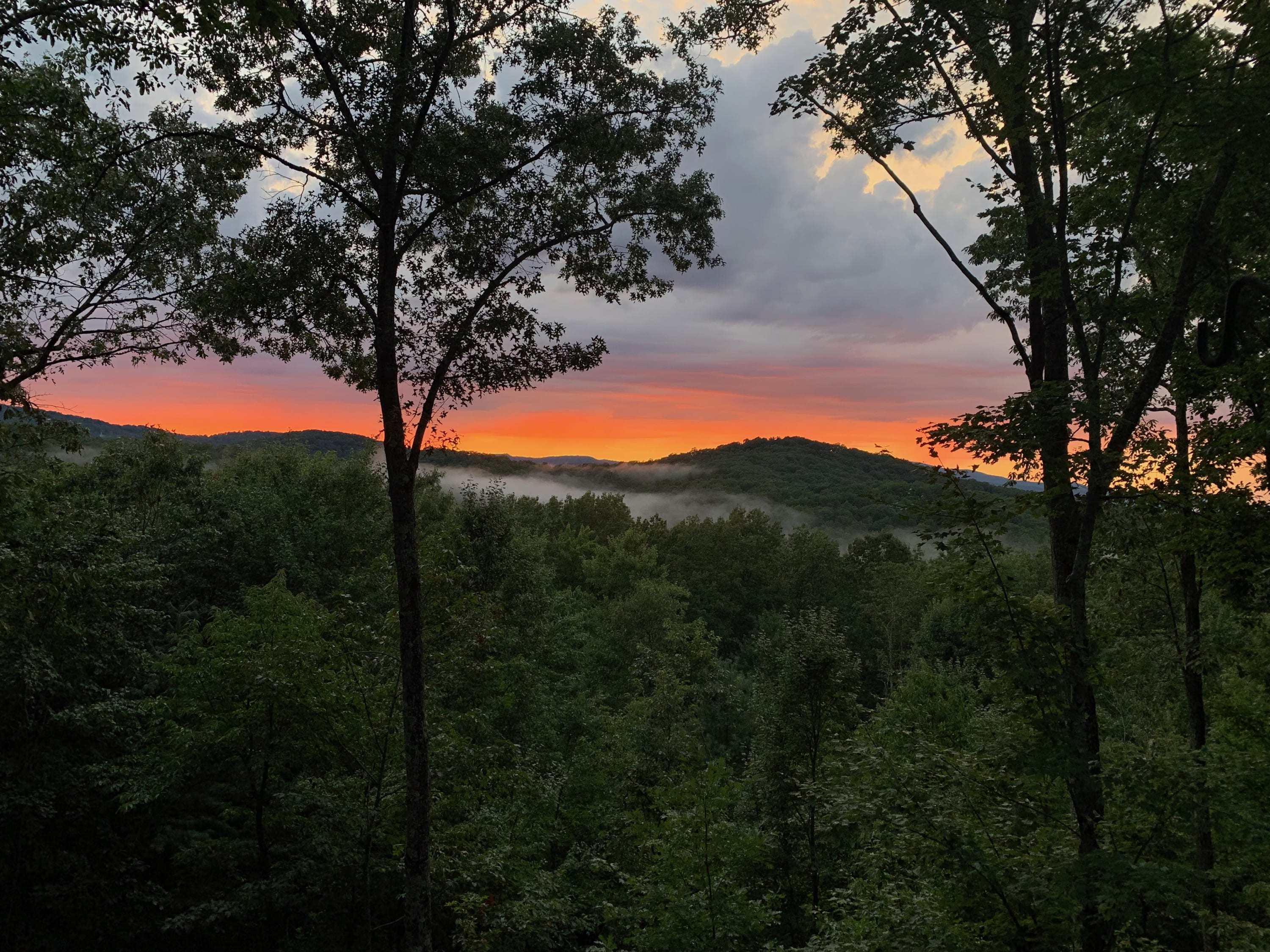 View 2