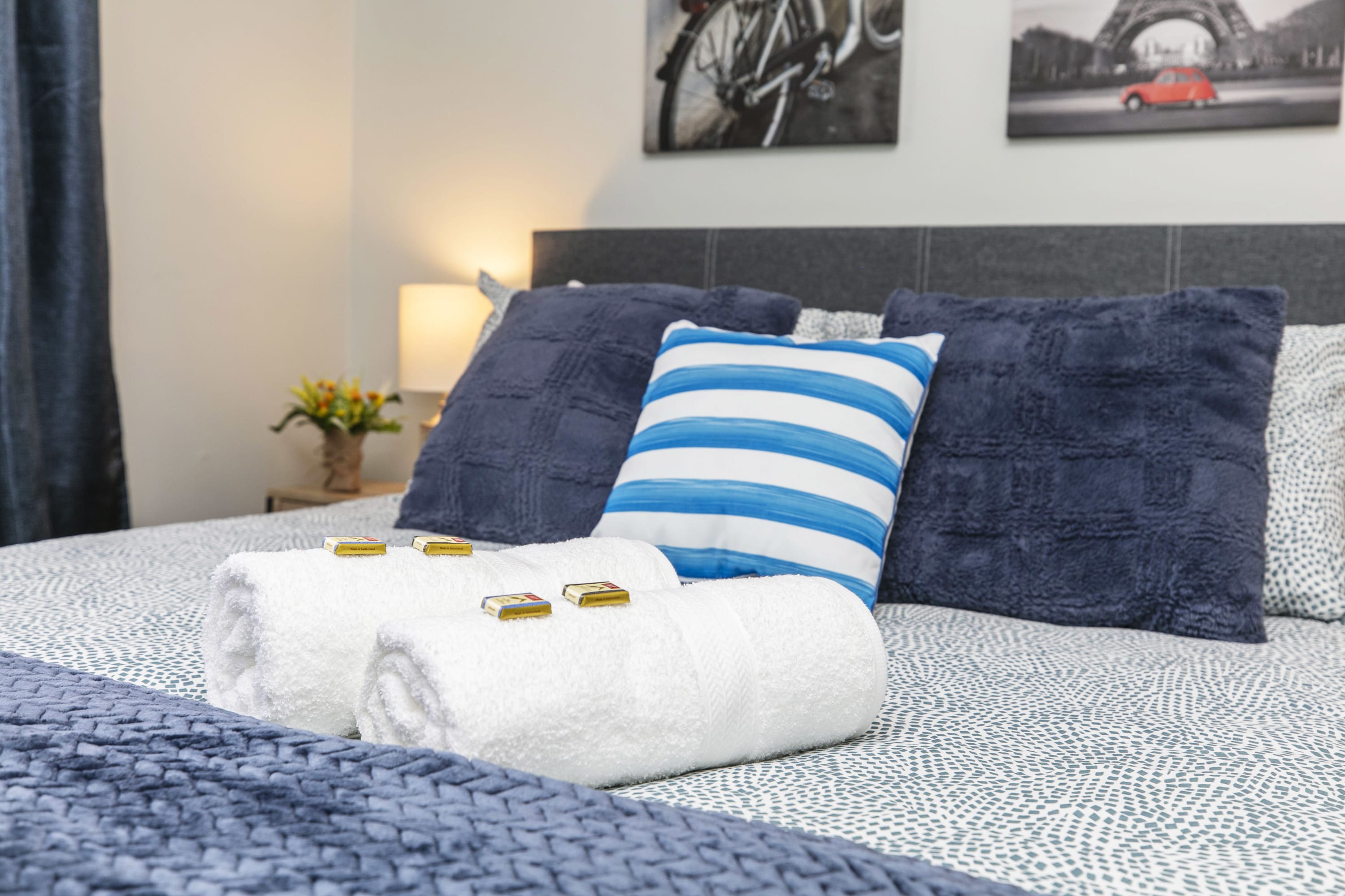 Test Pet Friendly Apartment in Downtown Ottawa | Photo 4