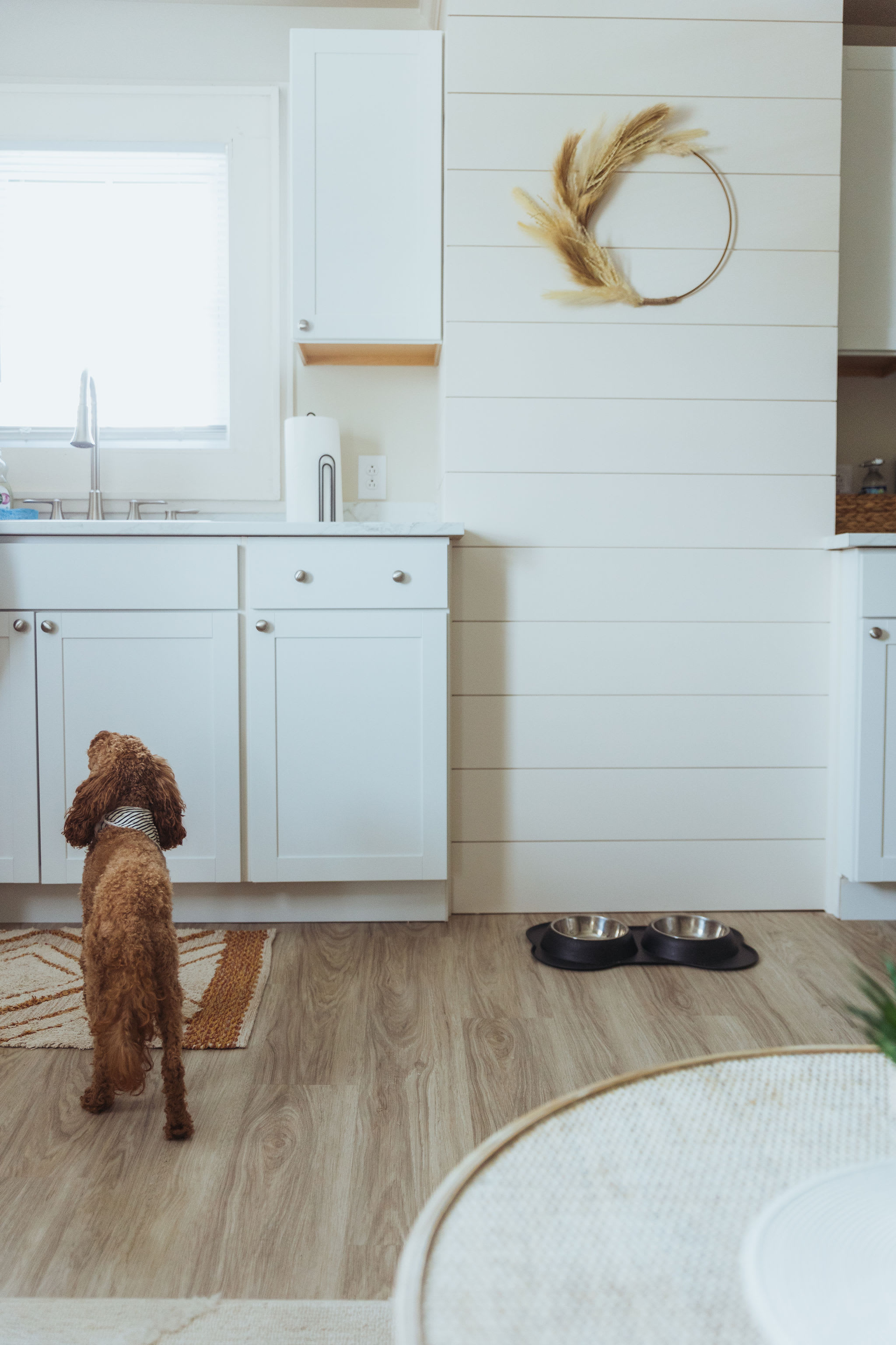 Top Rental Apartments Near East Tennessee State University