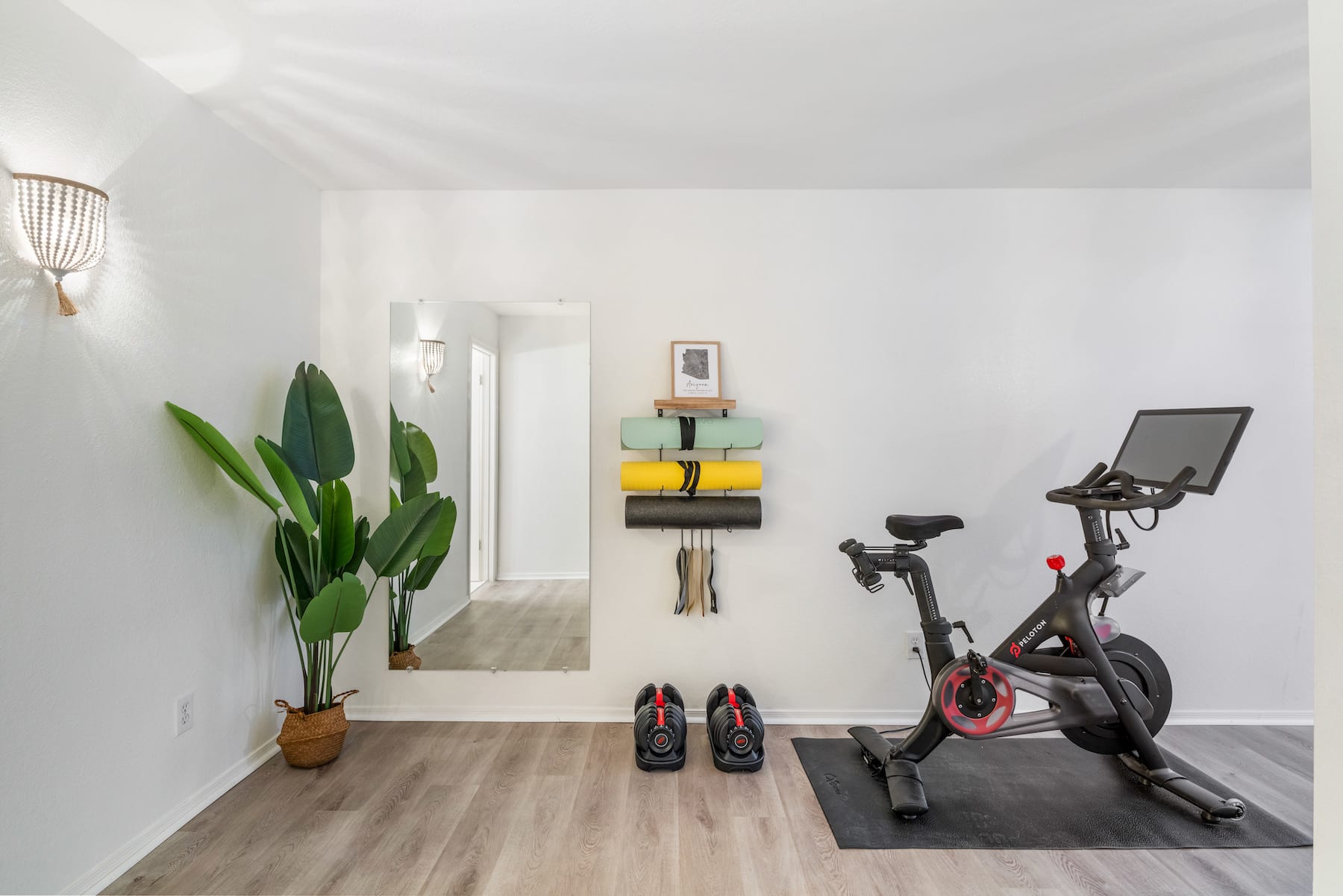 The Perfect Home Gym!