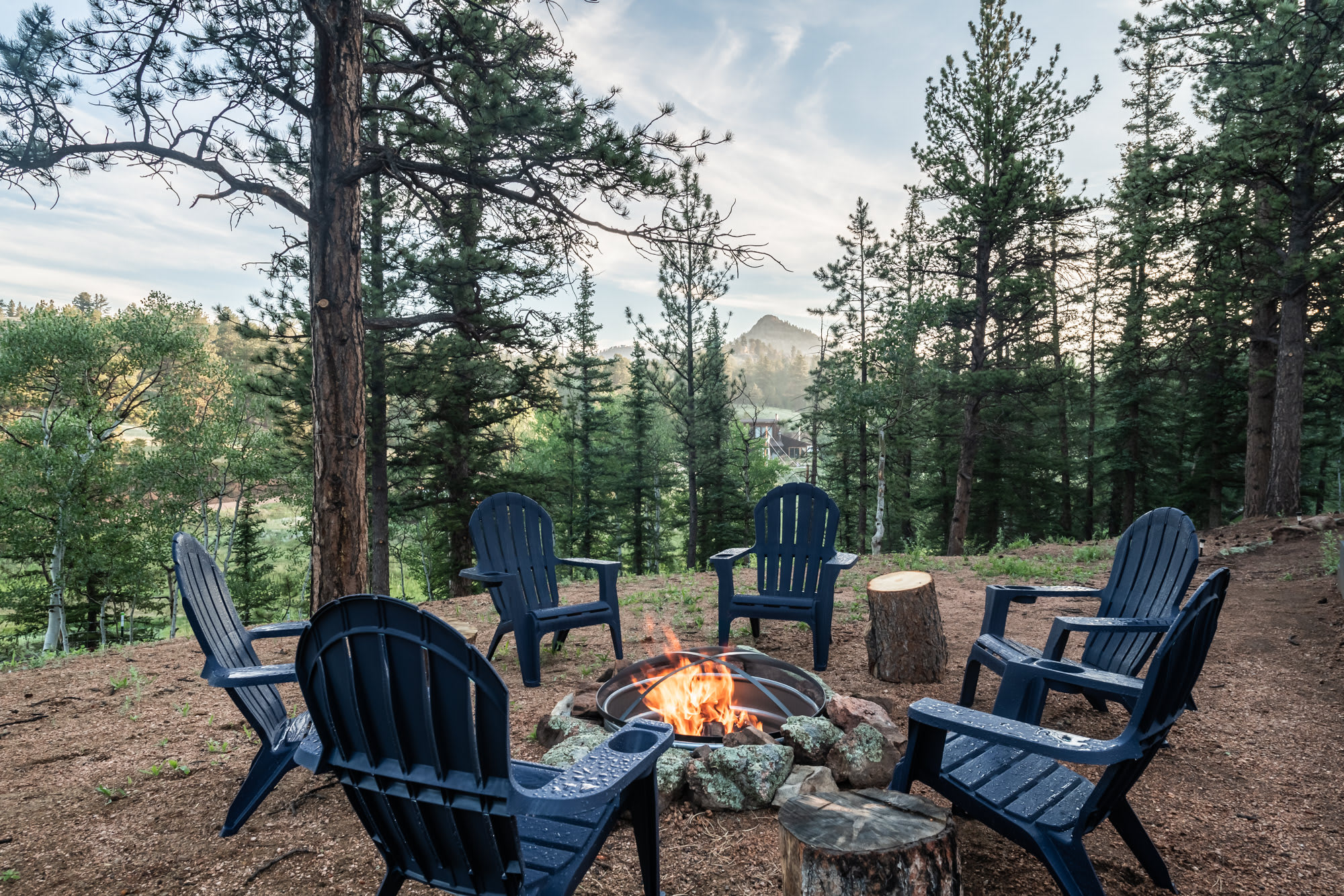 2.5 Acre Mountain Cabin Retreat w/Sauna + Firepit — Florissant, CO — vacation rental