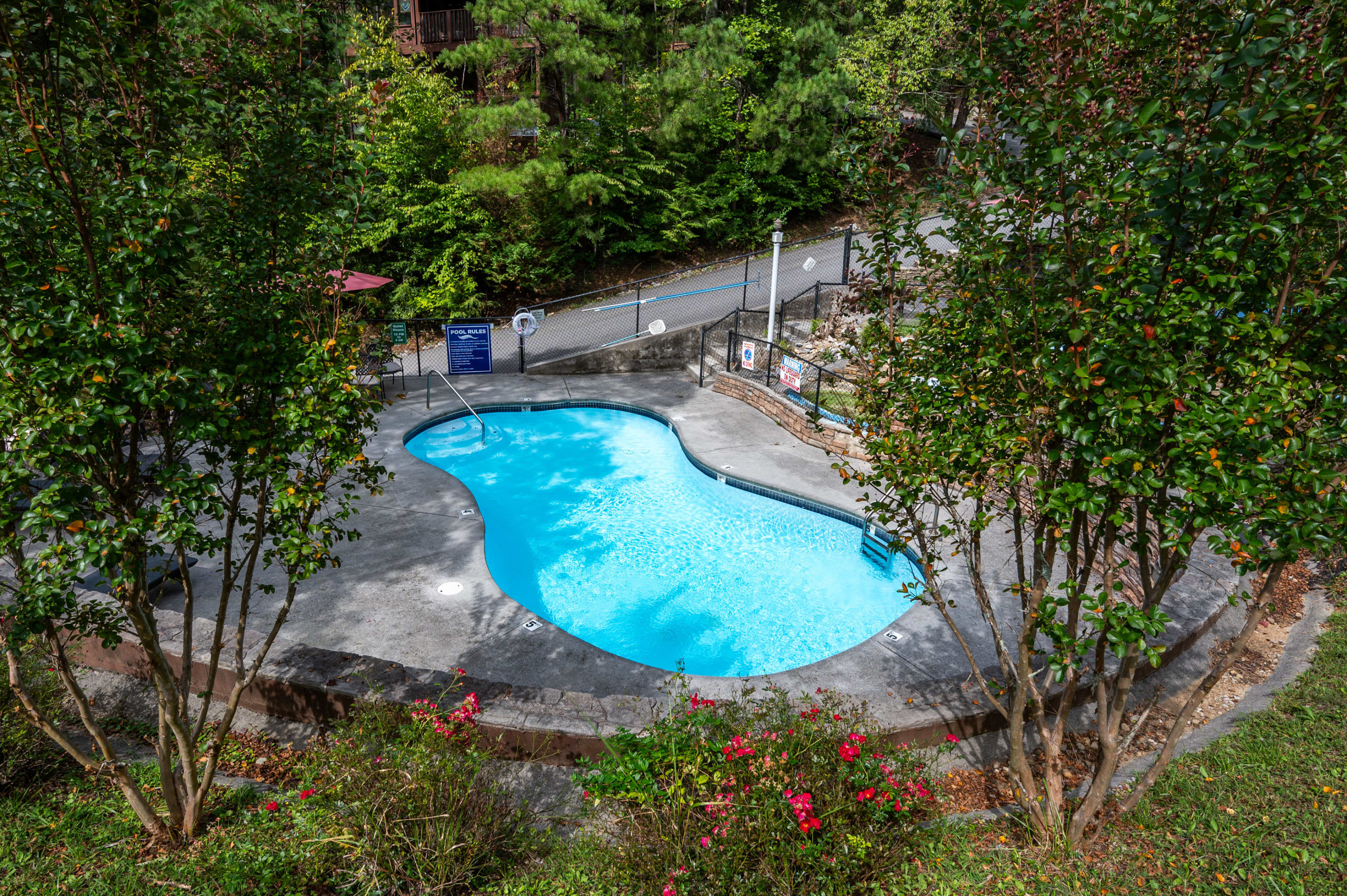 Mountain Shadows Resort Pool