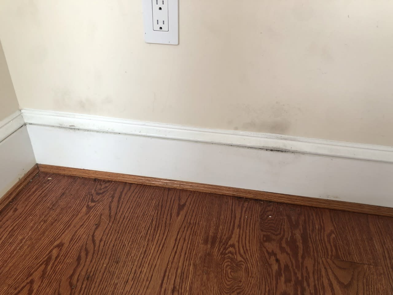1278-E UNFURNISHED — Norfolk, VA — vacation rental