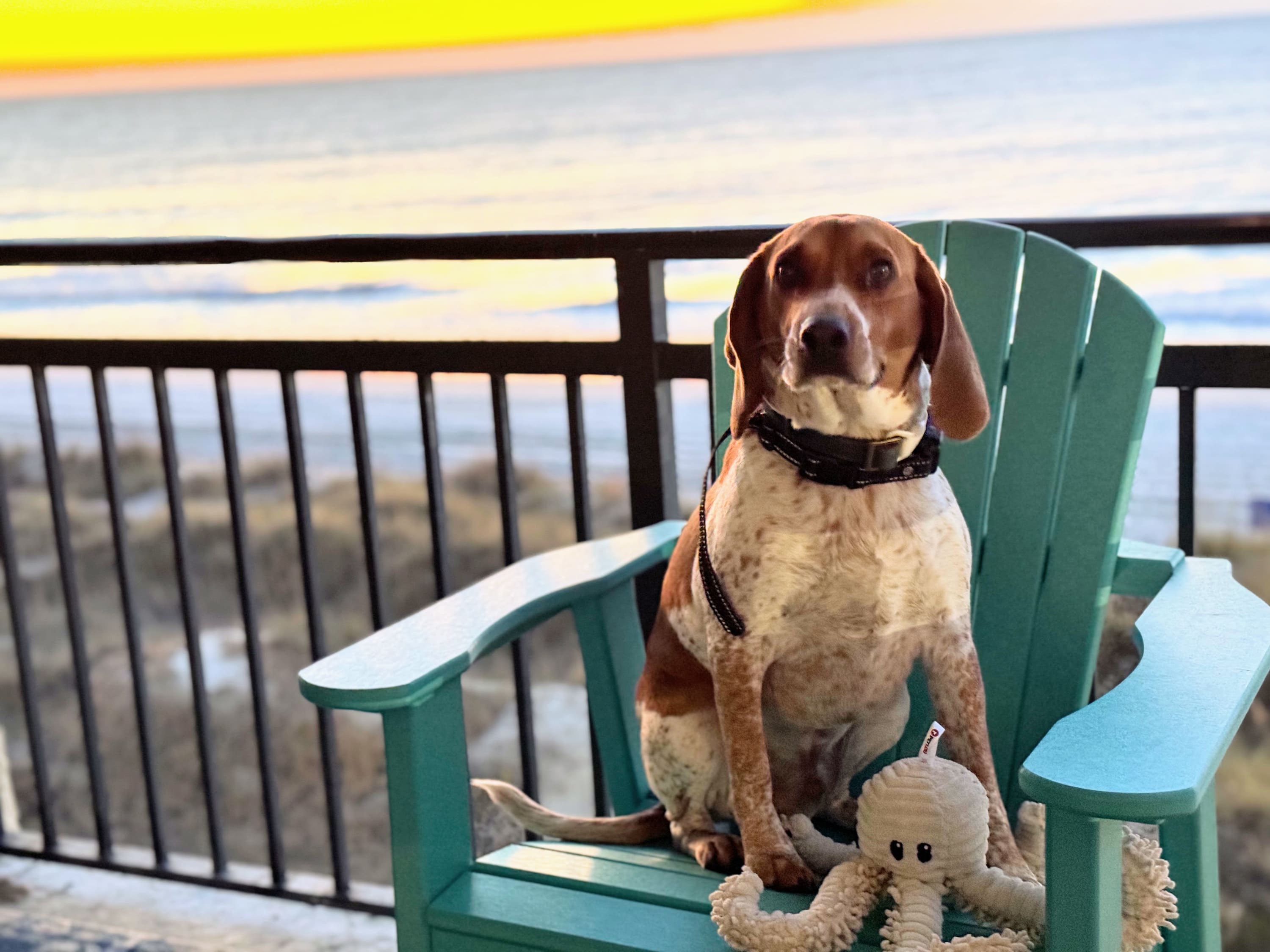 Oceanfront 3BR/2BA Condo /Dog-Friendly / Pool — North Myrtle Beach, SC — vacation rental