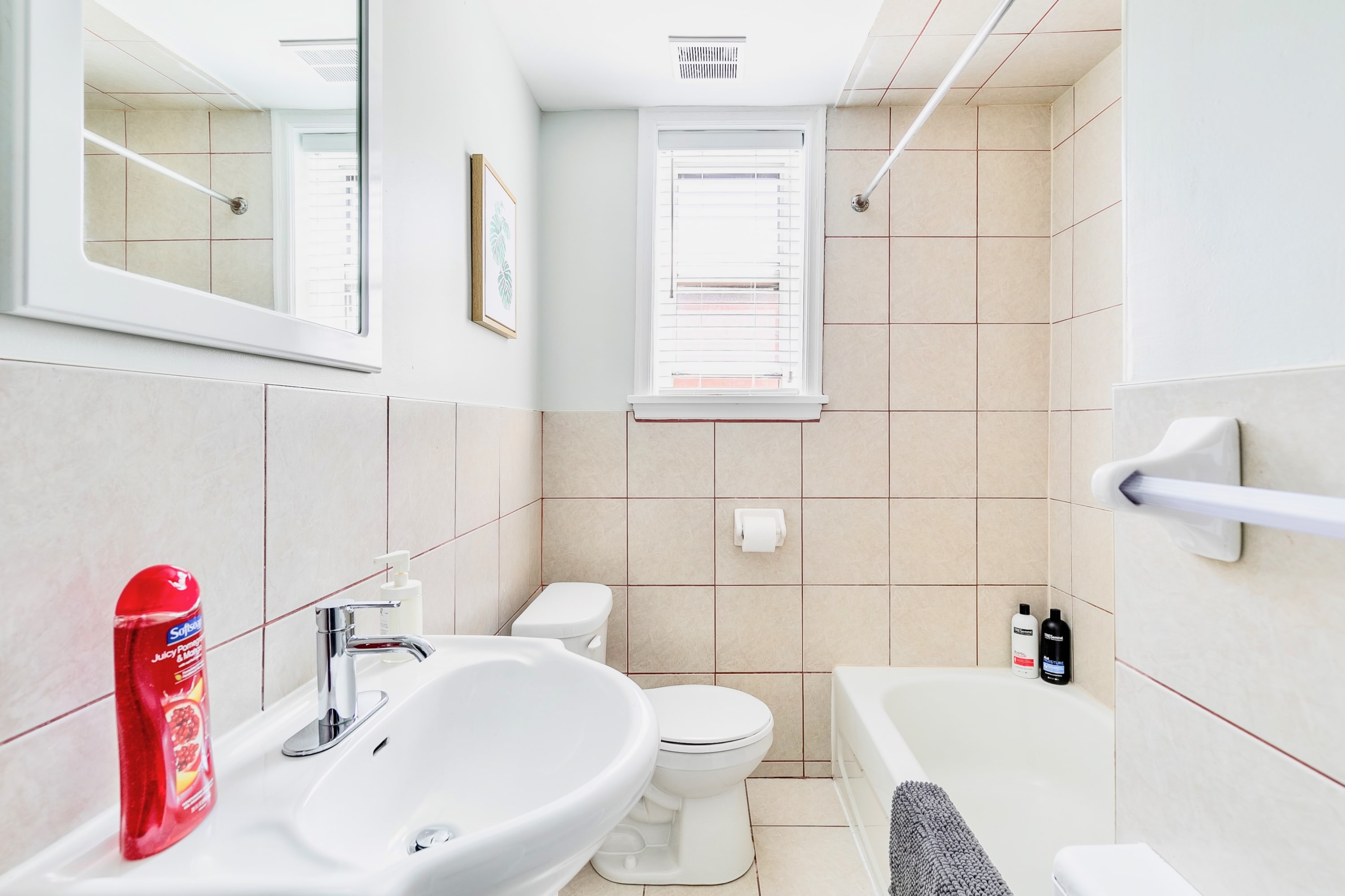 Modern Apartment in Corktown Hamilton Sleeps 4 | Photo 5