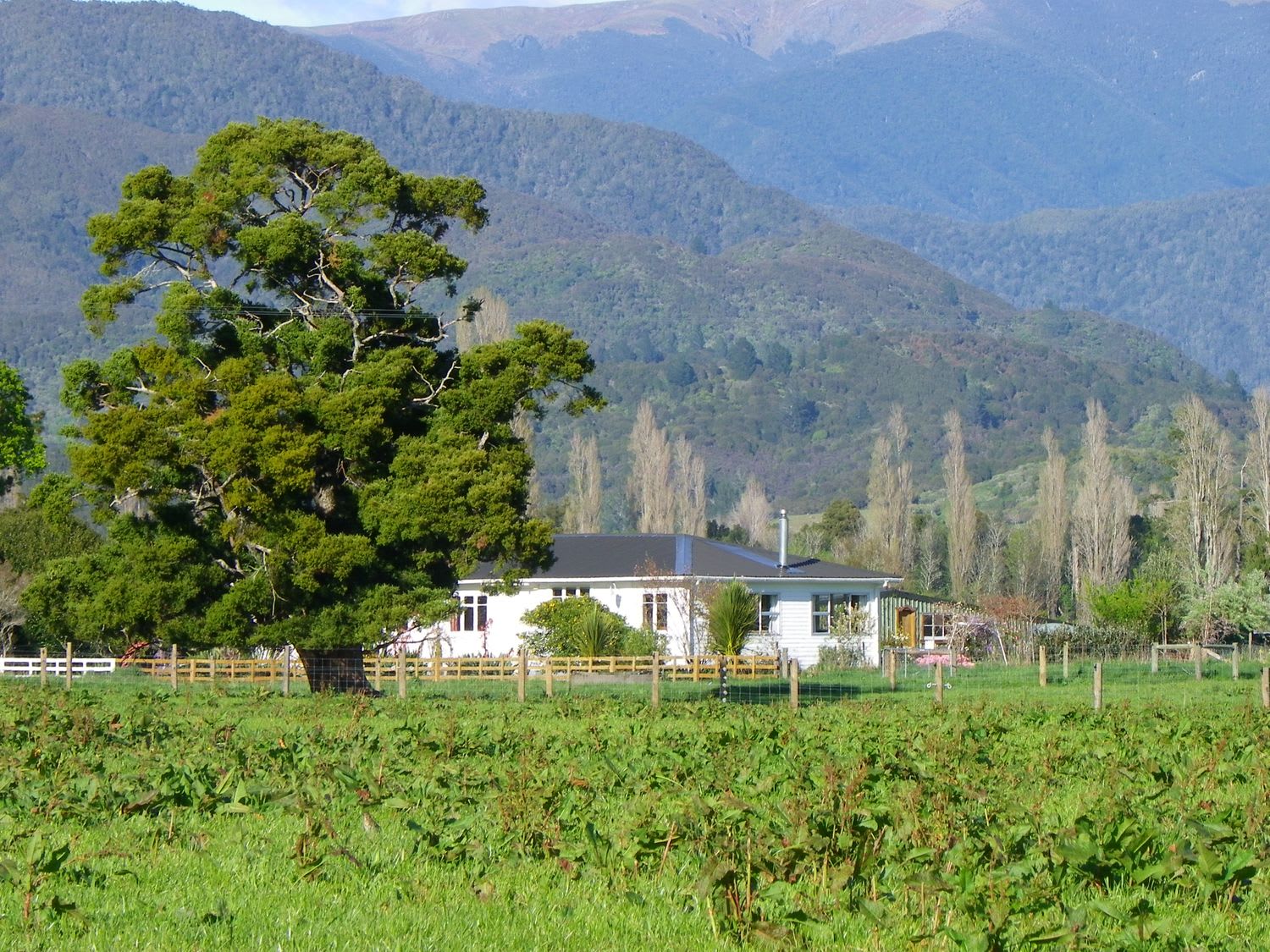 Totara Glen - Bucolic retreat in peaceful countryside