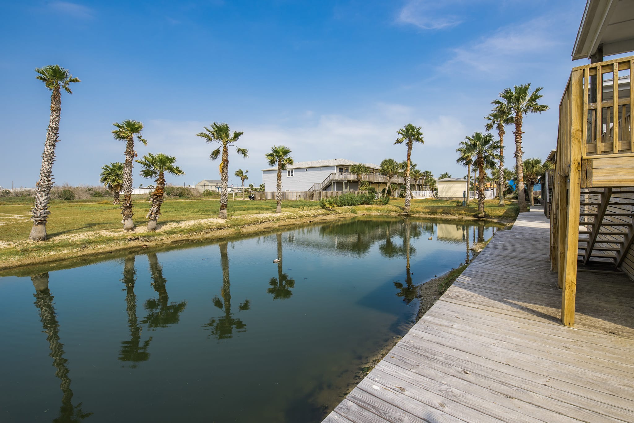 Cameroon Cabana | Starkey by Portoro