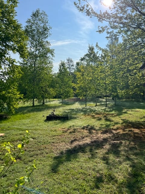 View 8