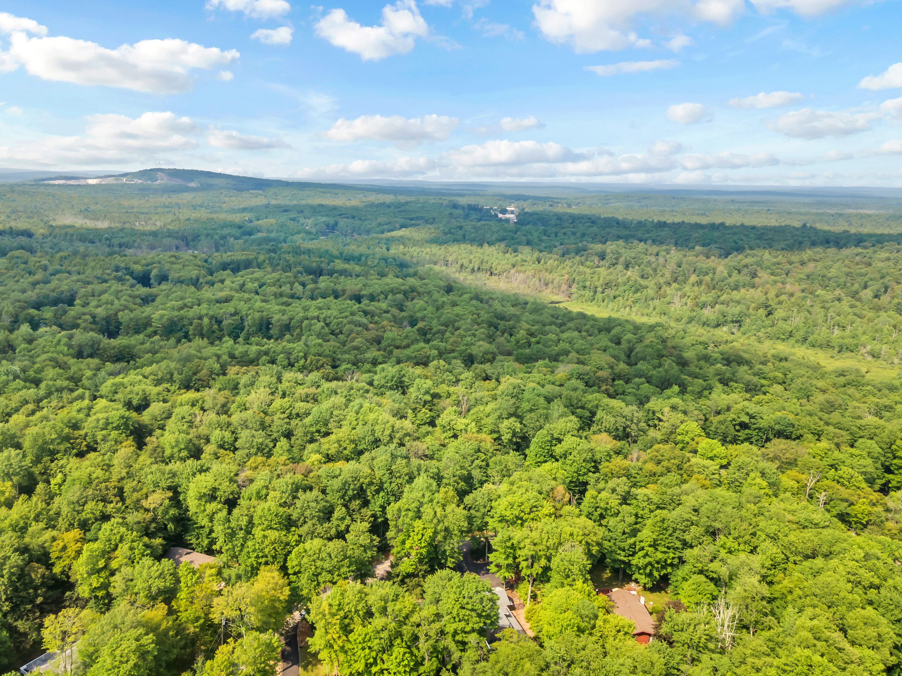 Take in the breathtaking landscape of the Poconos, where lush greenery and serene nature surround you for the perfect escape.