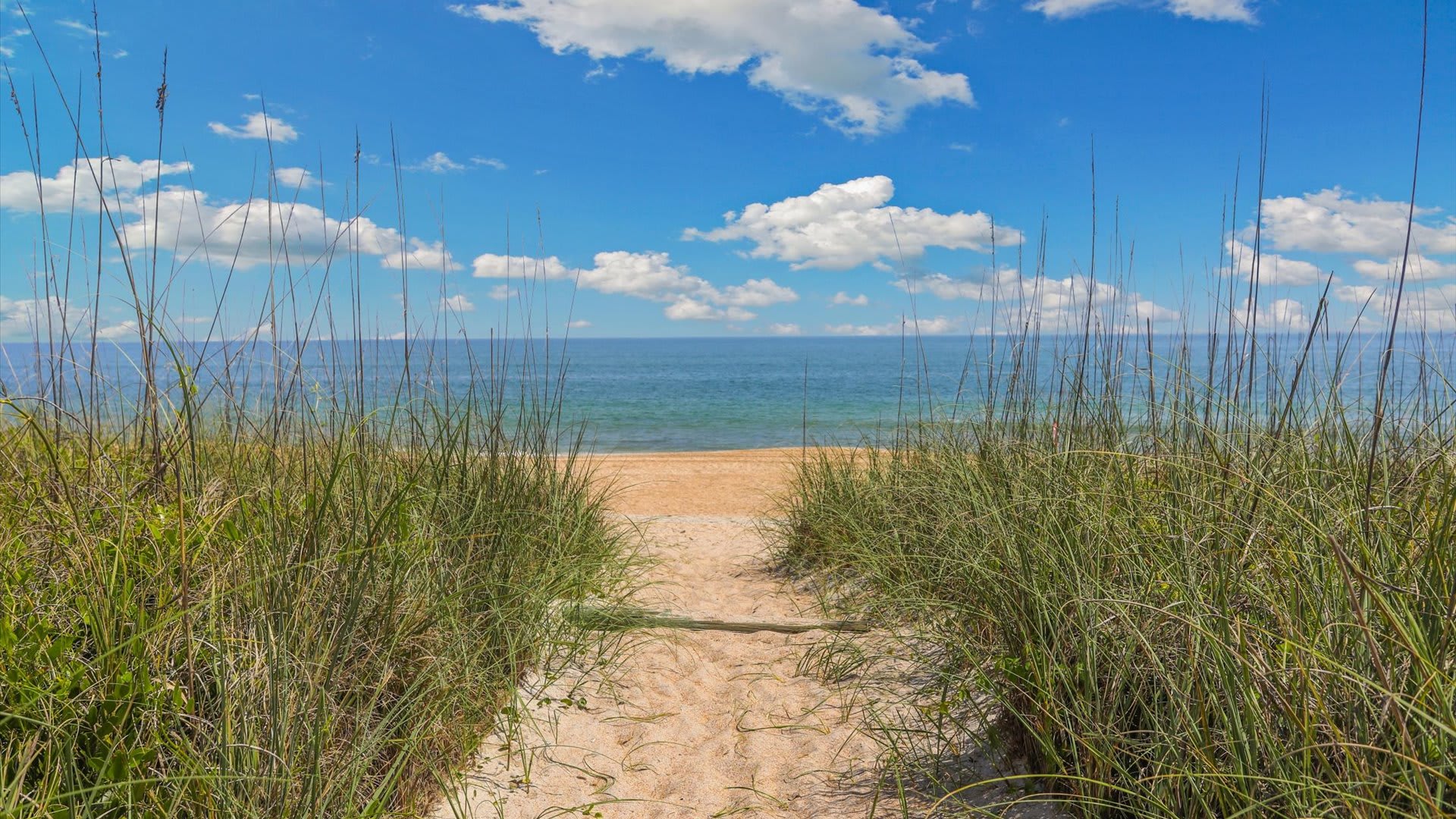 Captain's Fleet-Battened Hatches | Wren Beach Rent