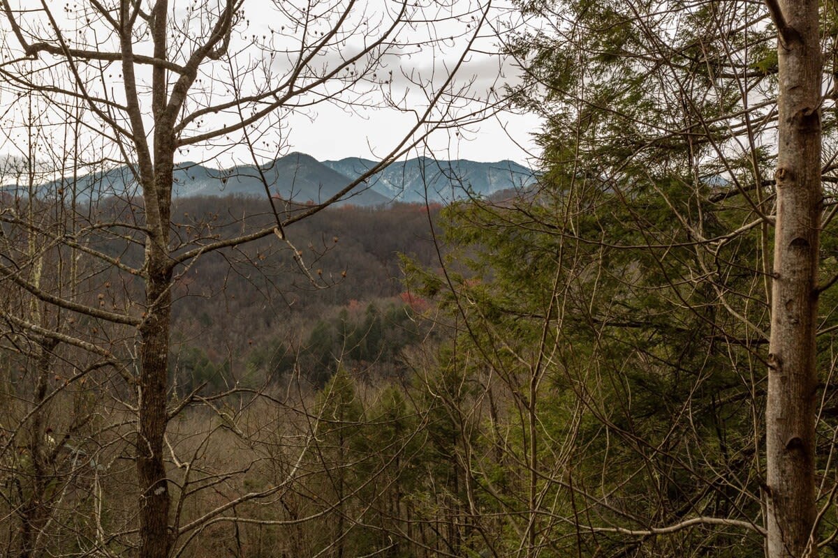 View 7