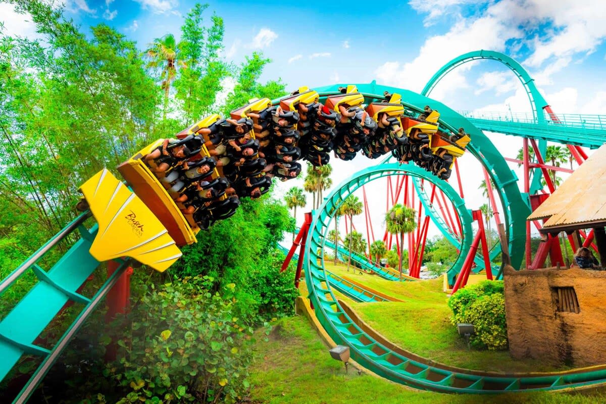 Busch Gardens, USF, 10 MI to DT Tampa!