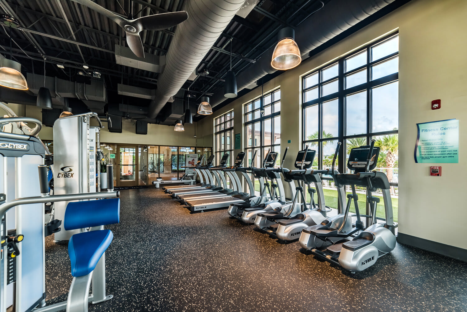 Modern fitness center with cardio machines and large windows for natural light