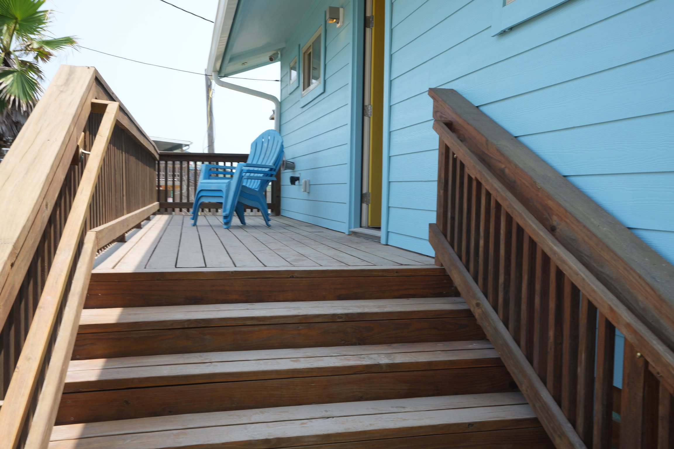 Driftwood | Starkey by Portoro