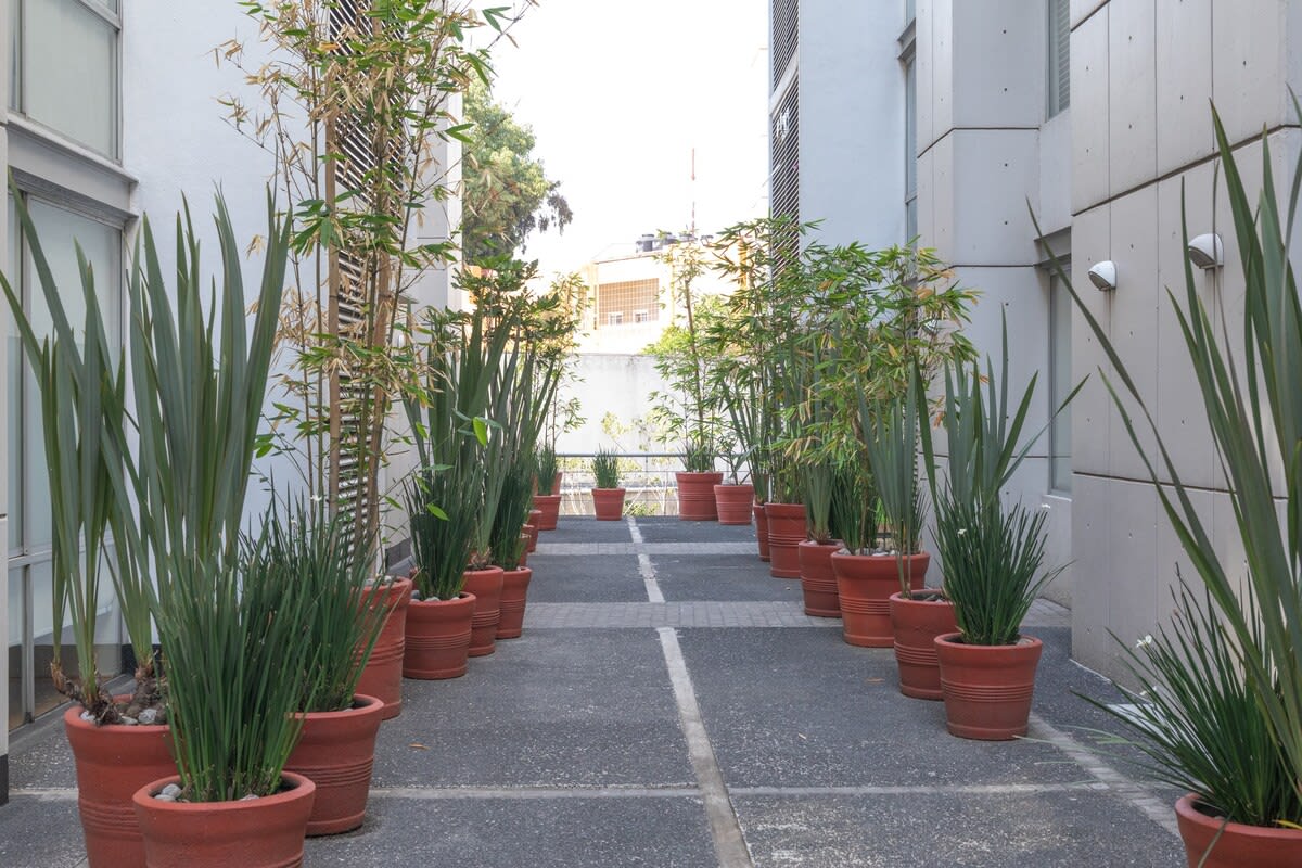 Conforto urbano perto do Parque de los Venados - Foto 6