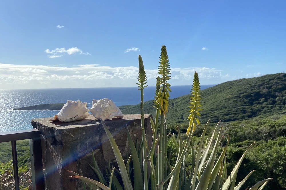 View 8