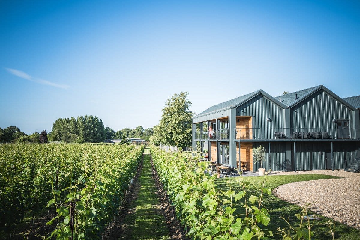 Ashling Park Winery is only round the corner!