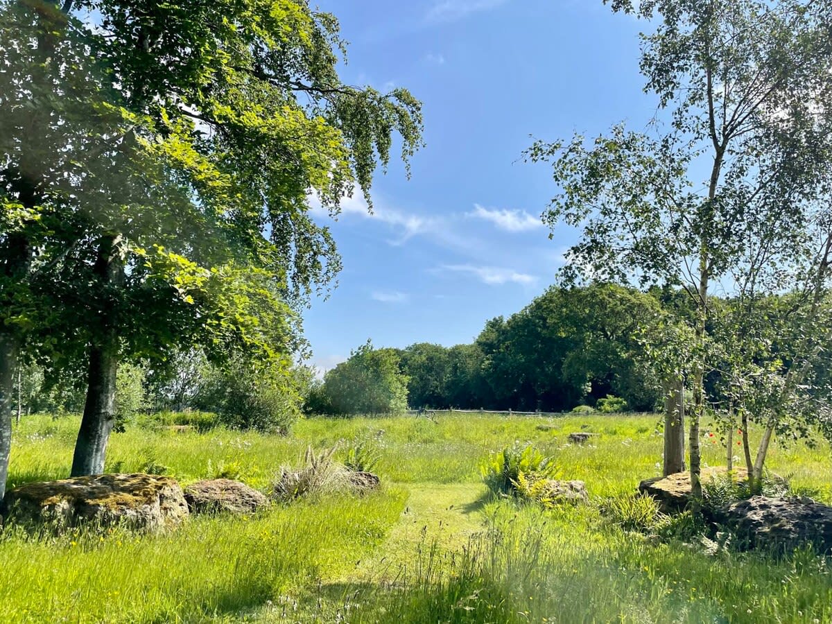 Take a walk through the adjoining fields.