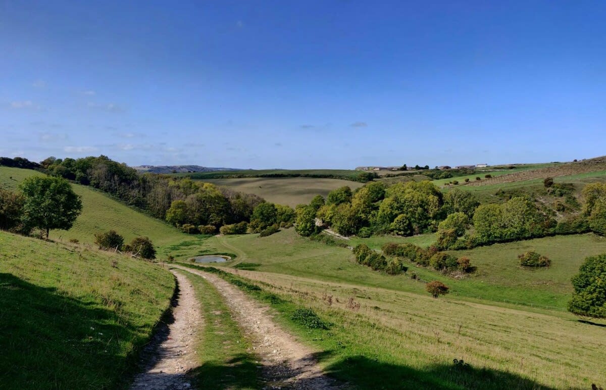 Beautifully rolling hills of the South Downs.