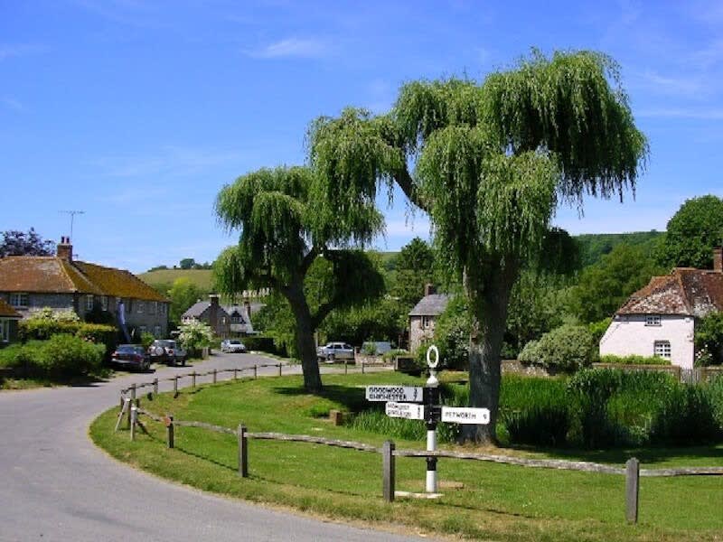 The cottage is in the pretty countryside village of East Dean.