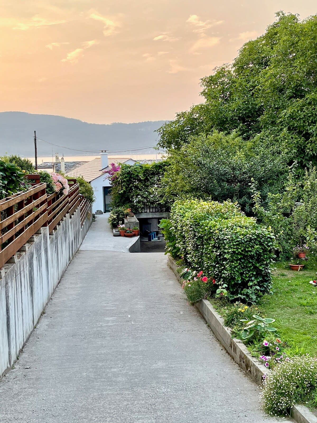 View 8
