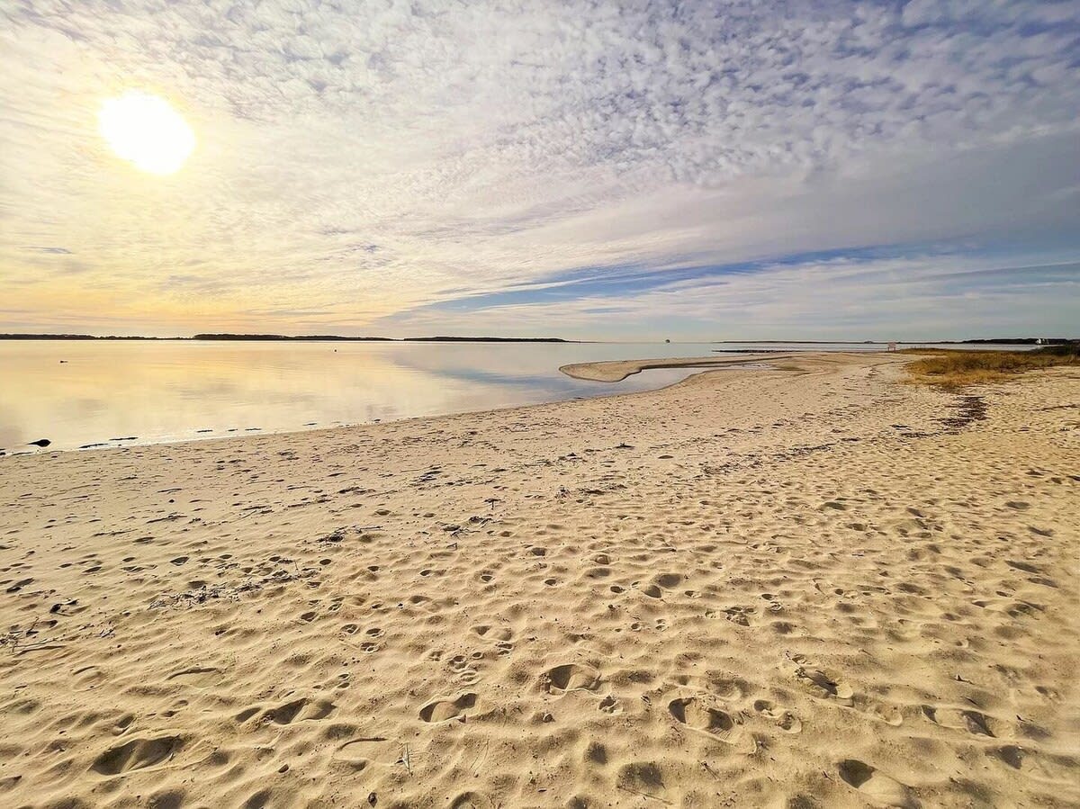 Photo 5 of Del Mar #20008