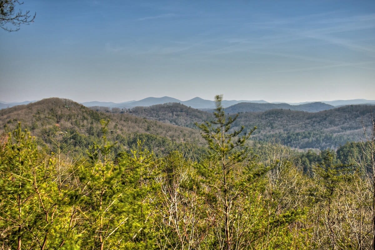 View 3