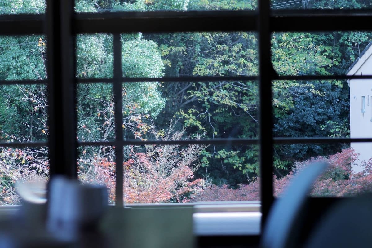 View 7